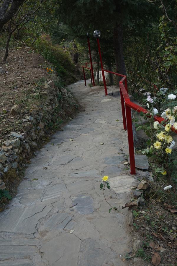 Rajgarh Hills Rajgarh (Himachal Pradesh) Bagian luar foto